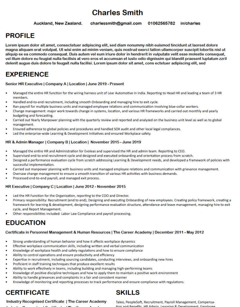 Professional CV Example 2 for Job Application Guidance